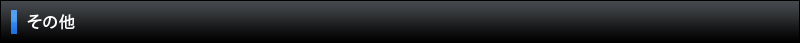 その他